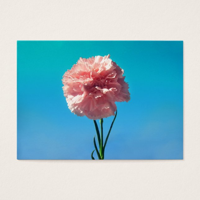 Carnation (Front)