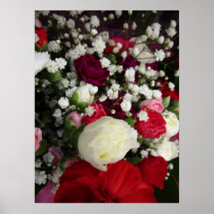 Carnation and Baby Breaths Flower Bouquet Poster