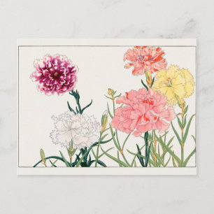 Carnation by Tanigami Konan Postcard