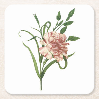 carnation(Dianthus caryophyllus) by Redouté Square Paper Coaster