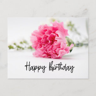 Carnation Happy Birthday in Pink Holiday Postcard