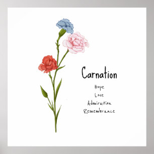 Carnation January Birth Flower Watercolor Art Poster
