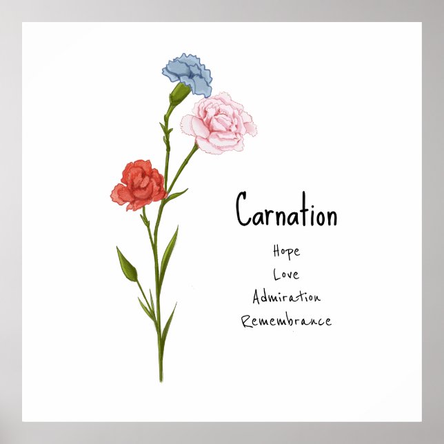 Carnation January Birth Flower Watercolor Art Poster (Front)