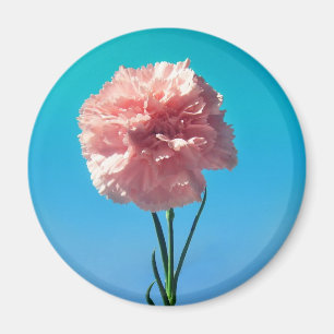 carnation magnet