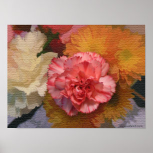 Carnation Poster