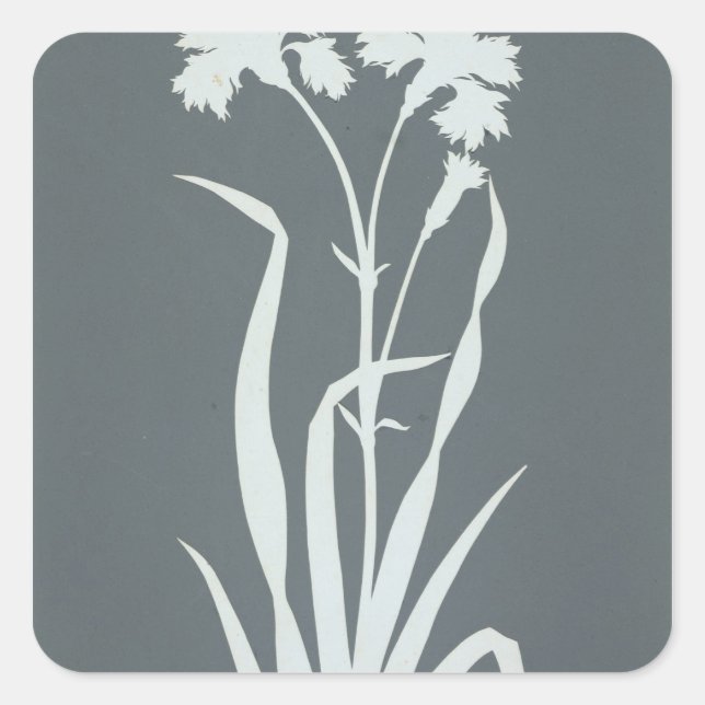 Carnation Square Sticker (Front)