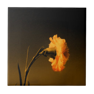 Carnation Tile