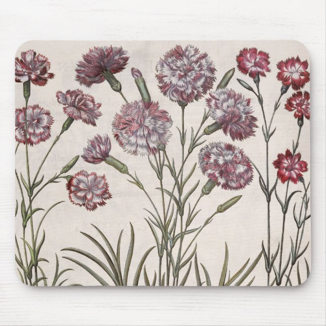 Carnations: 1.Caryophyllus flore majore; 2. Caryop Mouse Pad (Front)
