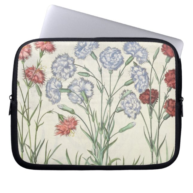 Carnations: 1.Caryophyllus multiplex flore albo; 2 Laptop Sleeve (Front)