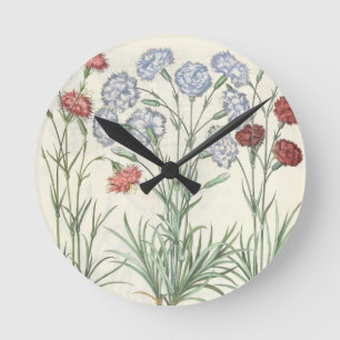 Carnations: 1.Caryophyllus multiplex flore albo; 2 Round Clock