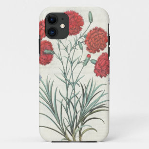 Carnations and Lavender: 1.Caryophyllus maximus pl iPhone 11 Case
