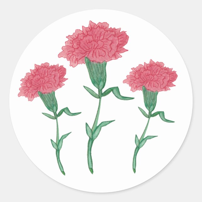 Carnations Classic Round Sticker (Front)