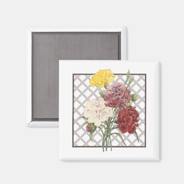CARNATIONS MAGNET (Front/Back)