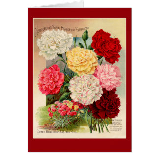Carnations Vintage Seed Packet Art on Cards