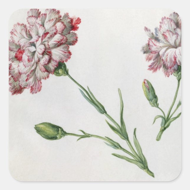 Carnations (w/c on paper) square sticker (Front)