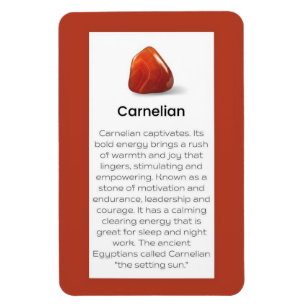 Carnelian Crystal Meaning Jewelry Magnet Sign