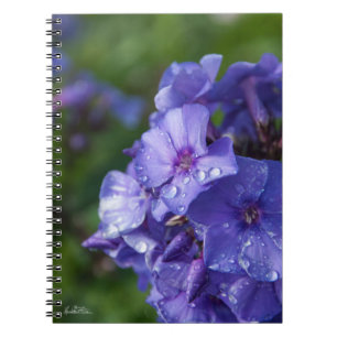 Carnet fleur violet avec la rosée du matin spiral notebook