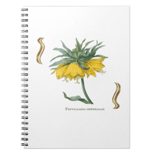 Carnet Fritillaria imperialis -couronne impériale Notebook