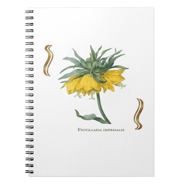 Carnet Fritillaria imperialis -couronne impériale Notebook (Front)