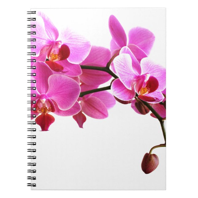 Carnet Orchidée Notebook (Front)