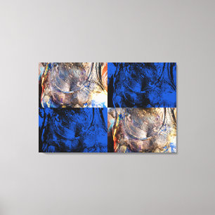 carnival chest canvas print