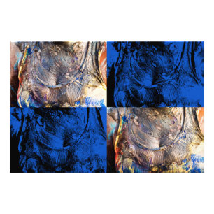 carnival chest photo print