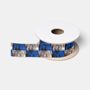 carnival chest satin ribbon