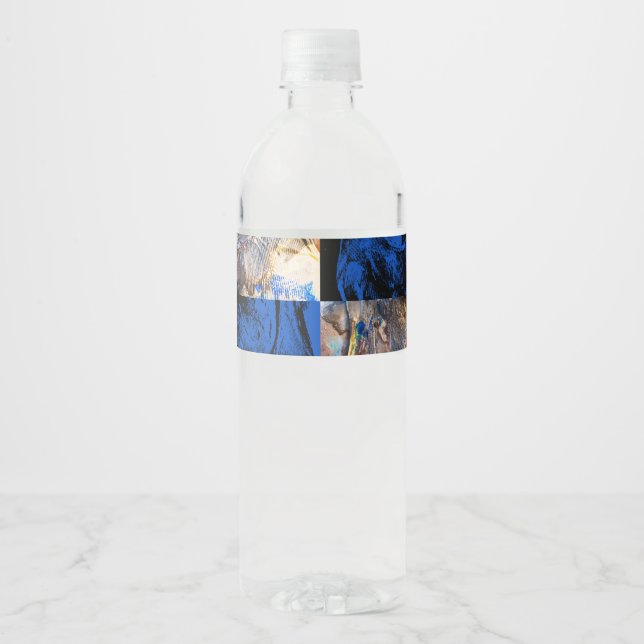 carnival chest water bottle label (Front)