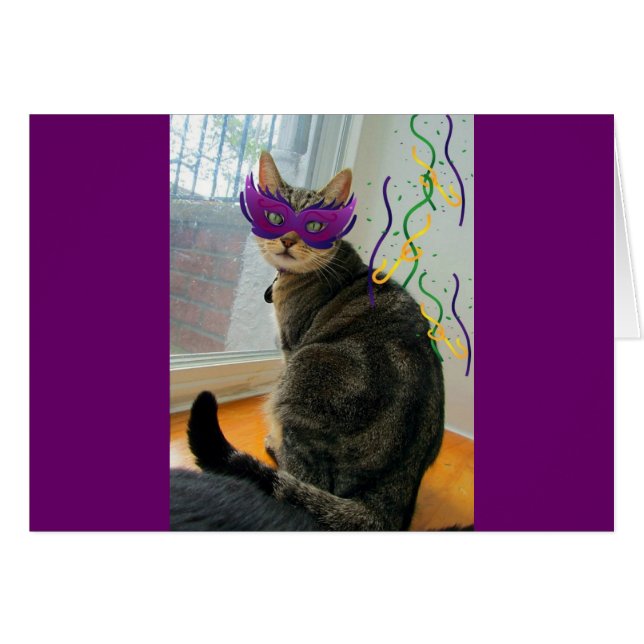 Carnival Indigo (Front Horizontal)