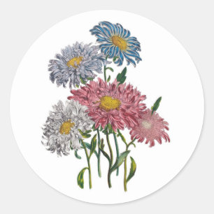 Carnival of flowers classic round sticker