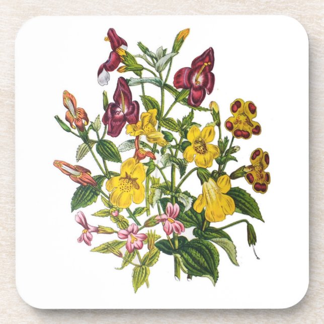 Carnival of flowers coaster (Front)