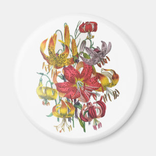 Carnival of flowers magnet