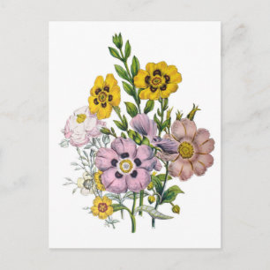 Carnival of flowers postcard