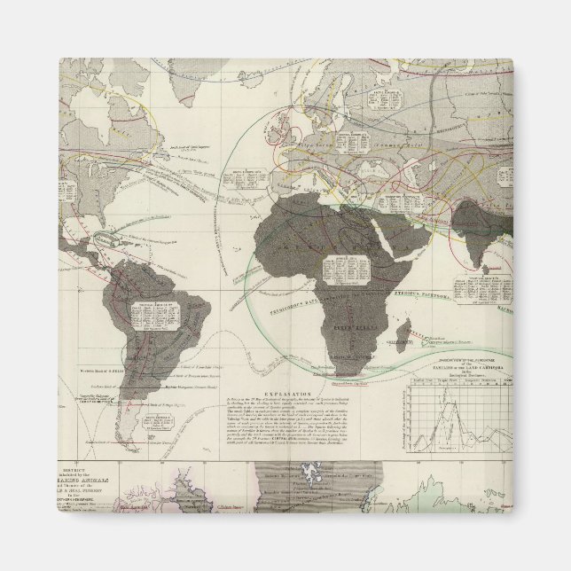 Carnivora Magnet (Front)