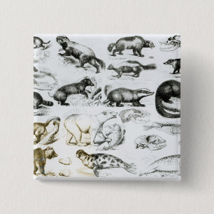Carnivorous Animals 15 Cm Square Badge
