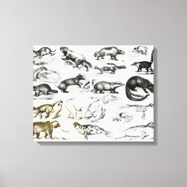 Carnivorous Animals Canvas Print (Front)
