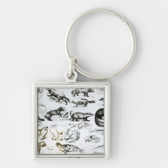 Carnivorous Animals Key Ring (Front)