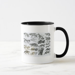 Carnivorous Animals Mug