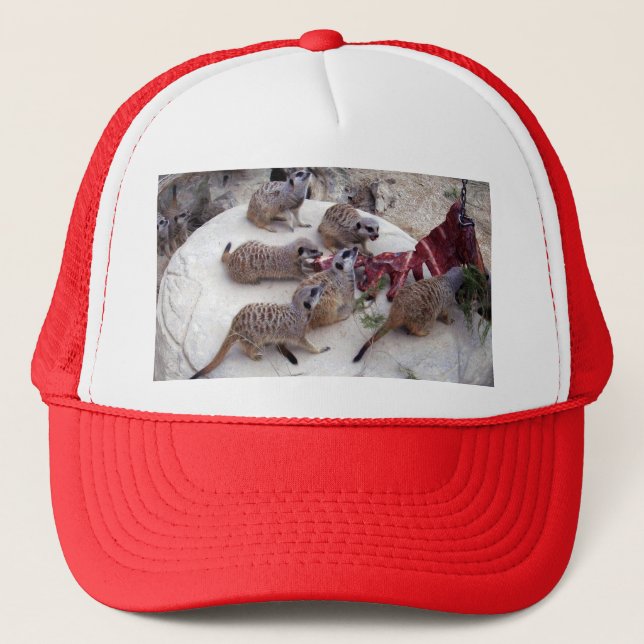 Carnivorous Meerkats Having Ribs For Tea, Trucker Hat (Front)