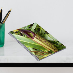Carnivorous Pitcher Plant Photo Notebook
