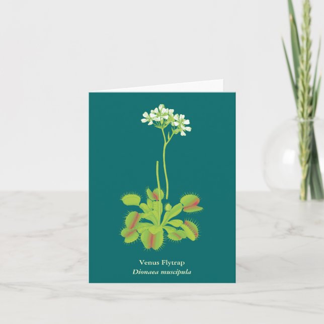 Carnivorous Plant Floral Art Card (Front)