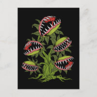 Carnivorous Plant Gifts Monster Venus Fly Trap