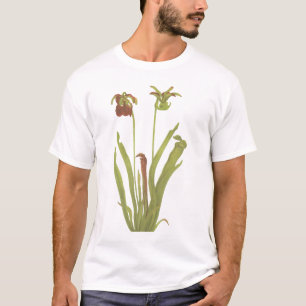 Carnivorous Plant - Sarracenia rubra T-Shirt