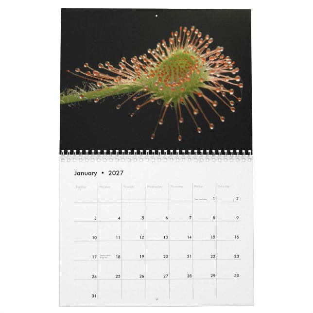 Carnivorous Plants Calendar (Jan 2027)