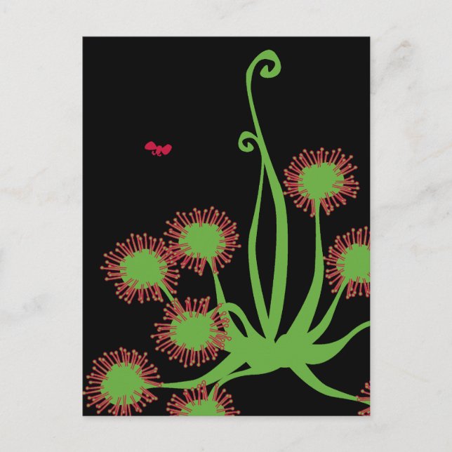 Carnivorous Sundew Plant Postcard (Front)