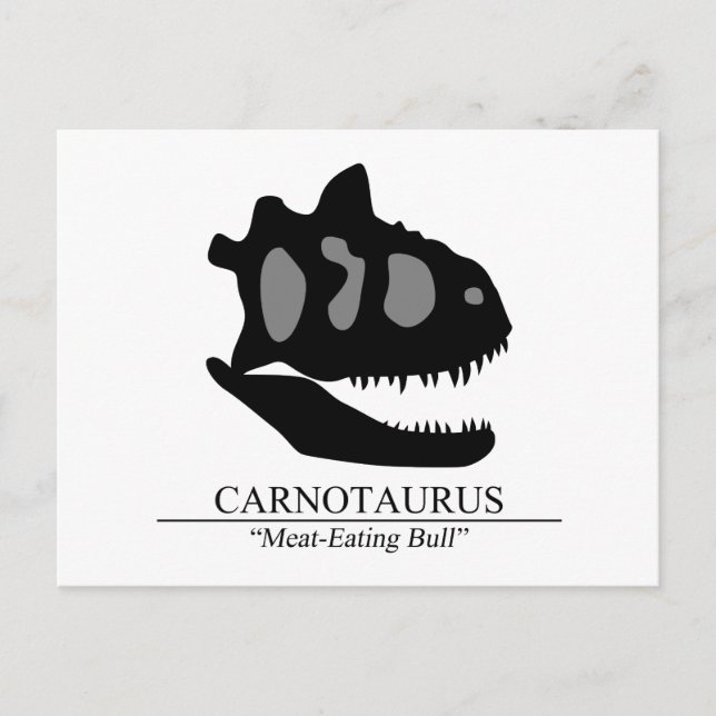 Carnotaurus Skull Postcard (Front)