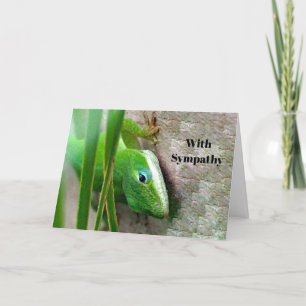 Carolina Anole Green Lizard Photo Sympathy Card