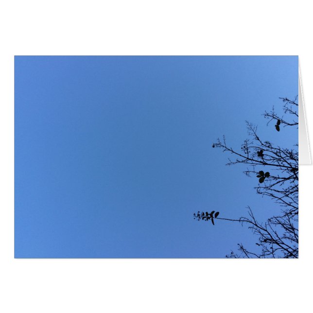 Carolina Blue, card (Front Horizontal)