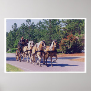 CAROLINA CARRIAGE POSTER