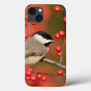Carolina Chickadee on Common Winterberry bush iPhone 13 Case